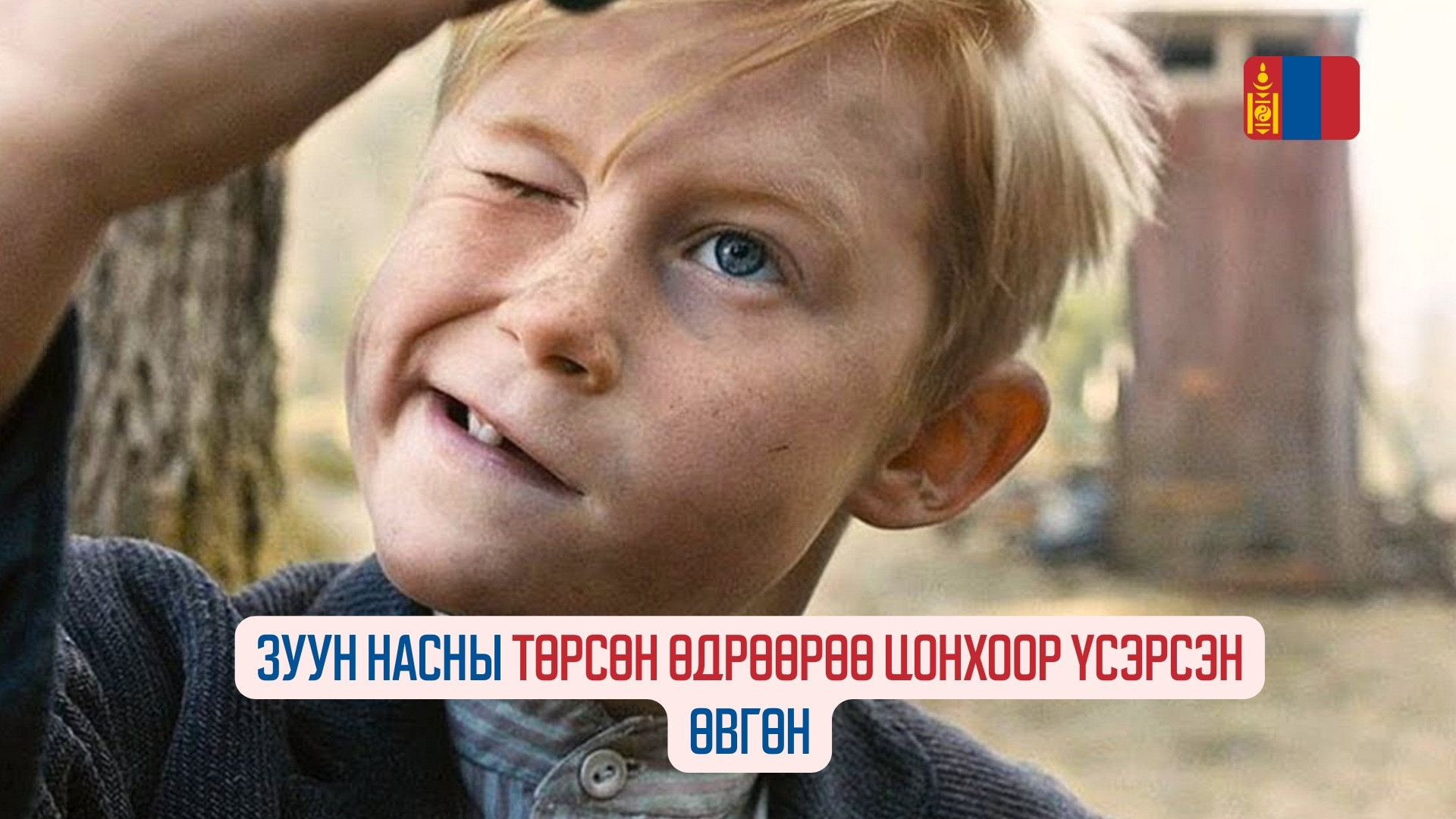 The 100-Year-Old Man Who Climbed Out the Window and Disappeared (2013)